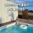 도틀왓 제주 | [제주숙소] 도틀왓 제주 프라이빗풀빌라 추천(수영장,자쿠지,핀란드 사우나)