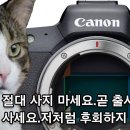 EOS R5 대신 R3 이미지