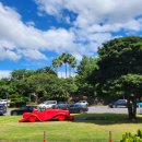 소노캄제주EAST동 이미지