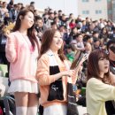 에이데일리 카카오 검색결과