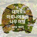 나무여행 네이버블로그