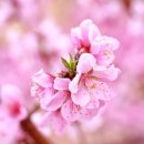 부천-중동-부천-013 이미지