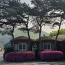 마르(Mar) 네이버블로그