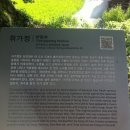 환벽당길 네이버블로그