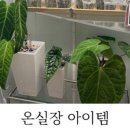 카브마인드