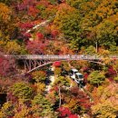 "가을 타는 것 같아"... 가을에 가면 더 좋은 서울 근교 가을 여행지 BEST6 이미지