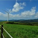 하늘목장 이미지