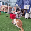 동현목장 | 김포 아이랑 연보람목장 이용 후기