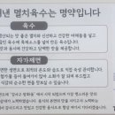 달인대보칼국수 백석점