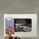 자수 | 강아지자수스카프 후기｜이름까지 새긴 커스텀 가을 케이프 애플멜로우 블랙윙