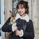 숲soup 이미지