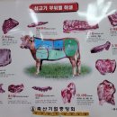 태백생고기 이미지