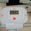 사평대로55길 125 | 일상기록 방콕파타야 패키지, 이웃집통통이 두바이초콜릿, 메종 파이프그라운드 먹방일상