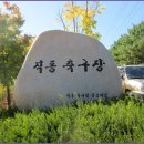 안골길 9 이미지