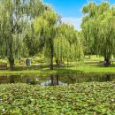 용산-이촌-185 이미지