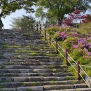 강경-4 이미지