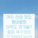 여수 황비물회 이순신대교 건너 만난 물회 맛집!