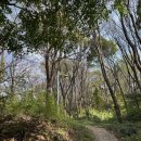 노적봉 도당지 이미지