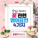 이아이고려대국제어학원
