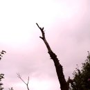 대안 행정사사무소 이미지