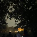 동구릉 | 동구릉 야별행 후기 | 2025 조선왕릉축전 | 8호선 동구릉역