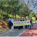 원주시청 이미지