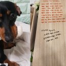 충남종합동물병원 이미지