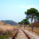 향기와 함께하는 몸과 마음 힐링 여행 이미지