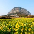 제주우리요양병원 이미지