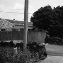 무릉2리(인향동) 이미지