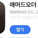 매머드익스프레스내곡동한국콜마점
