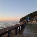 2024 천북 굴축제 이미지