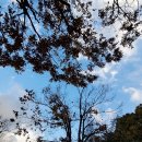 봉곡동010 | 대구에서 이 많은 중고책 어떻게 정리해야 하나요. 여기로 연락하시면 됩니다.