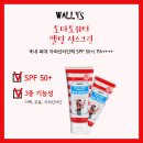 토마토 생각