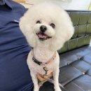 라파동물병원 이미지
