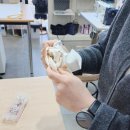 재봉틀로 다양한 소품 만들기(서원) | 경산 재봉틀 원데이클래스, 네이버 예약으로 즐기는 지퍼 파우치와 누빔 방석 티코스터 만들기