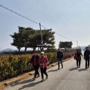 김포평화누리길 1코스 이미지