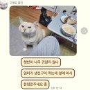 (주)스페라 이미지