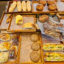 뽀르뚜아과자점 | 홍대 동네빵집 뽀르뚜아과자점 화이트롤/메론빵/고구마타르트 내돈내산 솔직 후기