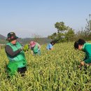 새마을로2길 이미지