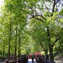 쉬자파크 이미지