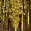 송정동-25 이미지