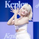 윙크링크 이미지