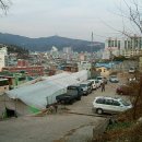 부산 남구 감만동 공동주택, 노인병원 나대지(4175m²)1265평 이미지