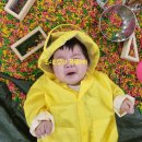 엄마와 함께 오감만족 오감놀이 이미지