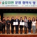 자연숲 유치원 이미지