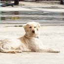 신흥주유소 이미지