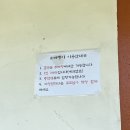 강아지랑 고양이 이미지