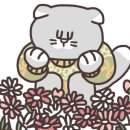 으뜸플러스안경 원주기업도시점 이미지