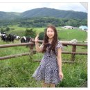 재희목장 이미지